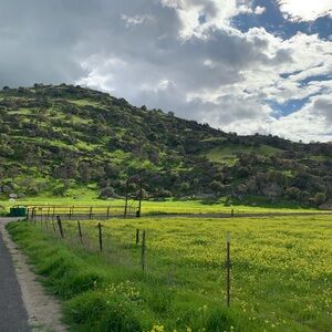 Meet your Posher, Berta